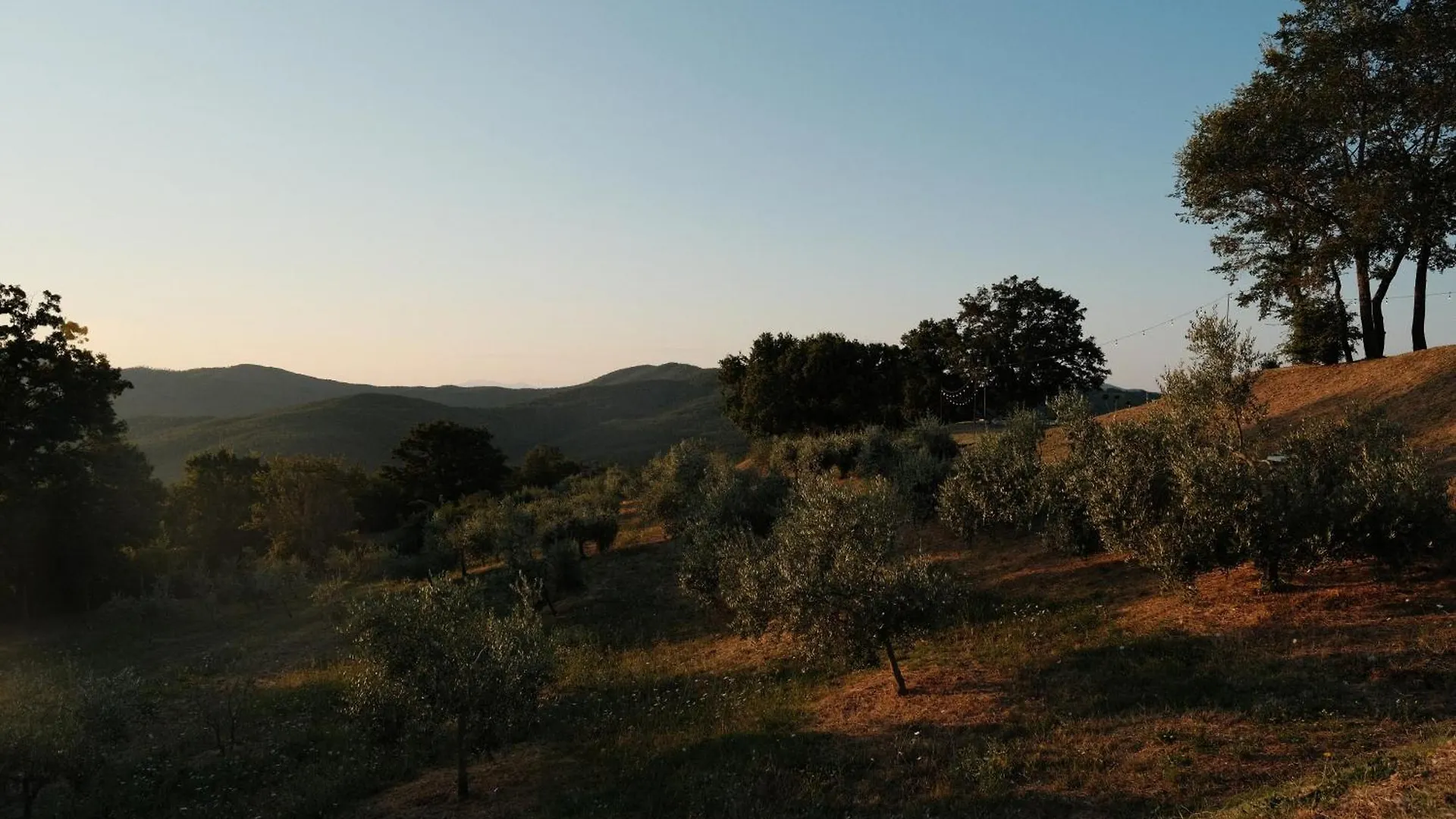 Bauernhof Vin Hotel - Wine Resort And Agriturismo Montieri